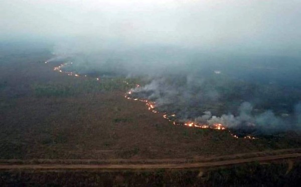 Las imágenes del terrible incendio que devora el Amazonas, el pulmón del mundo