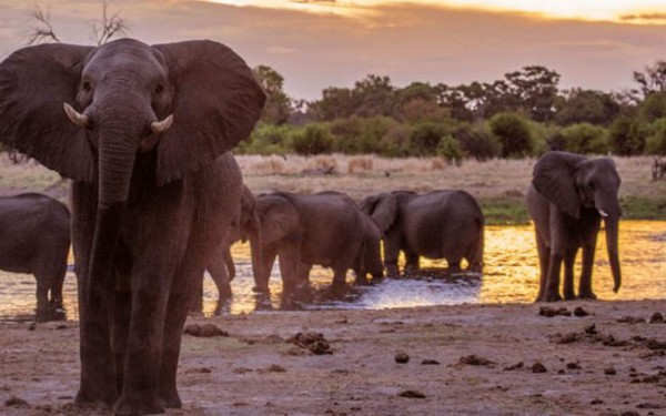 La vida de lujos de Dan Friedkin, el magnate estadounidense que comprará al AS Roma de Italia
