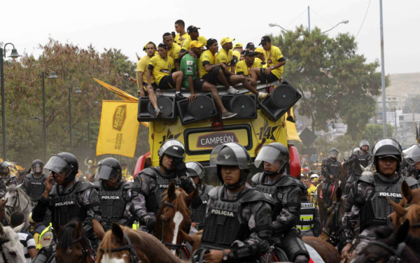 CAMPEONES SUDAMERICANOS.