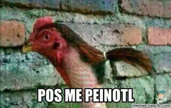 ¡Imperdibles! México mete miedo en Copa Amérca hasta en los memes