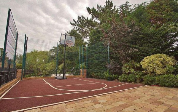 ¡Increíble! El perro de 20 mil dólares que compró Sterling para cuidar su mansión