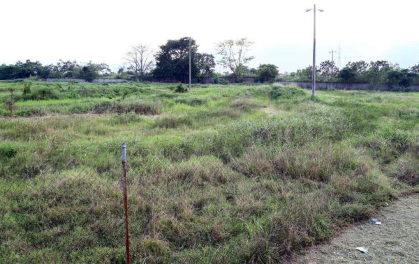 Se cumplen 19 años de la inauguración del estadio Olímpico de San Pedro Sula