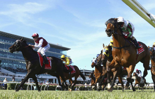 Actividad deportiva mundial .