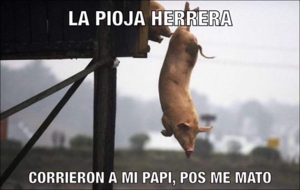 Con memes se burlan de la salida del Piojo Herrera