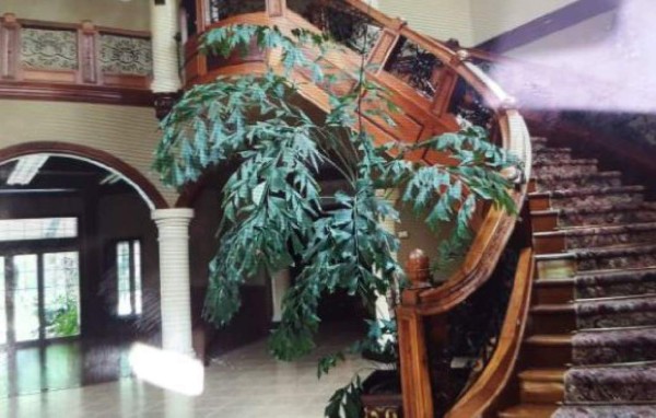 Estos son los bienes incautados a los que Yankel Rosenthal renunció en Honduras