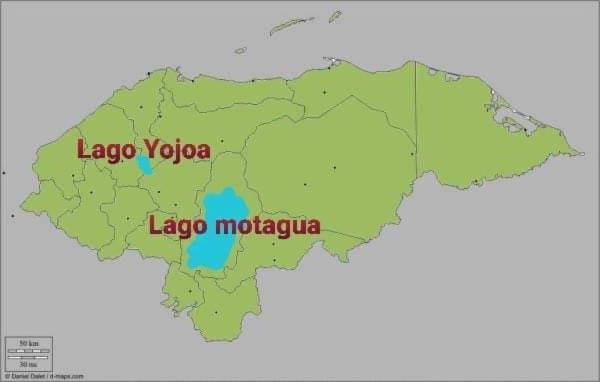 Liga da por finalizado el Clausura 2020 y los memes hacen pedazos a Motagua