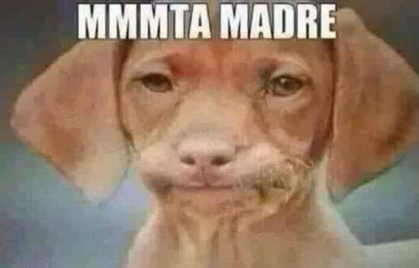 Juego de México-EEUU deja duros memes en contra de Trump y Chicharito