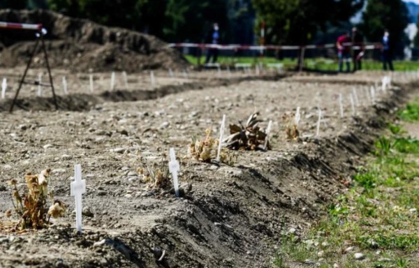 Así es el Campo 87: El cementerio donde entierran a las víctimas del coronavirus que nadie reclama