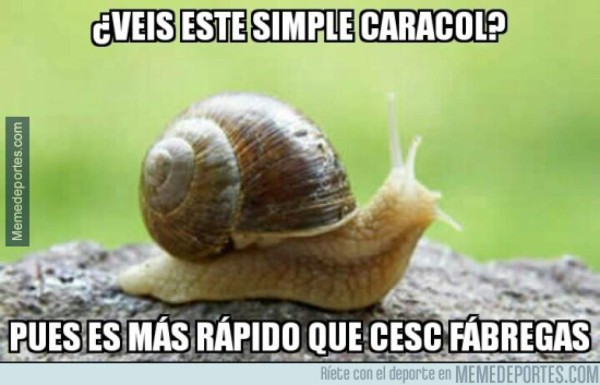 Los mejores memes de la derrota de ESpaña ante Italia