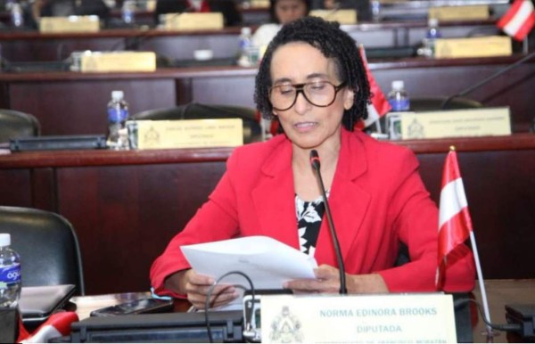 ¡Fin de ciclo! Los diputados que buscaban reelección y no salieron; otros sólo soñaron con el Congreso