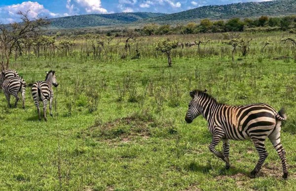 Así es Ruanda, el país africano que sufrió genocidio y donde jugará Roby Norales