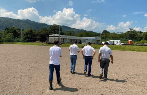 ¡Inicia la cuenta regresiva! ¿Qué hace falta para que Olimpia inaugure su nueva sede?