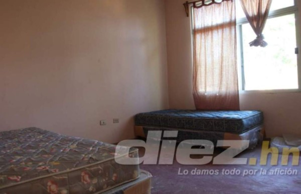 Vida volvería a su sede principal en una concesión por 30 años: presidente Luis Cruz anuncia remodelaciones