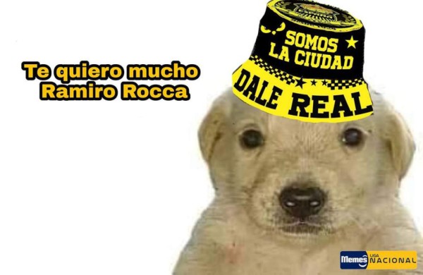 Los crueles memes que dejó la jornada 17 del torneo Apertura donde no se salva nadie