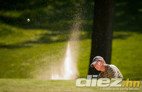 Las mejores imágenes del día por el mundo
