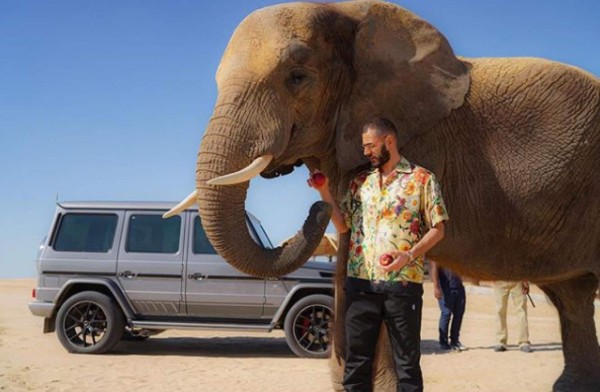 Elefantes, jeques y el gestazo de Vinícius: Así son las vacaciones de los grandes futbolistas