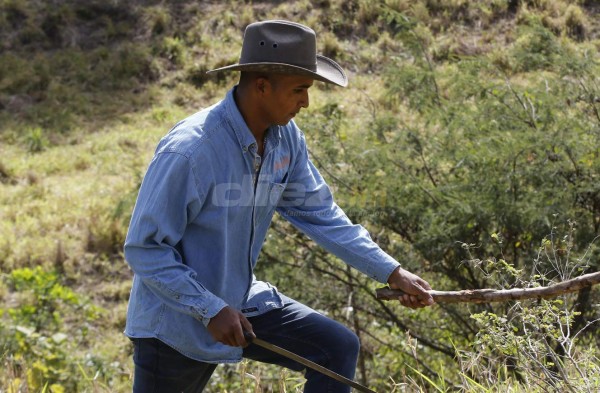 Donis Escober, ganadero: de sombrero y buen jinete; cambió la pelota por el ordeño de vacas