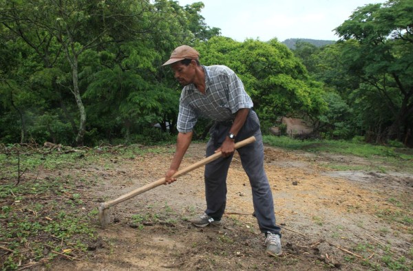 Golfran, el campeón que cultiva frijoles, maíz y maratones