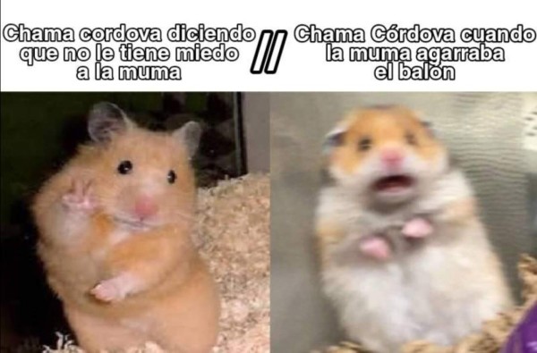 Otros memes: Las burlas siguen haciendo pedazos al Motagua y su entrenador luego de perder contra Olimpia