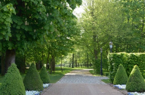 Puertas de oro y un acuario: Así es por dentro la casa más cara del mundo que pertenece a Bin Salman&nbsp;&nbsp;