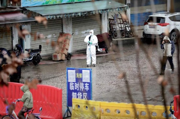 China vuelve a la venta de animales domésticos y murciélagos tras superar el coronavirus