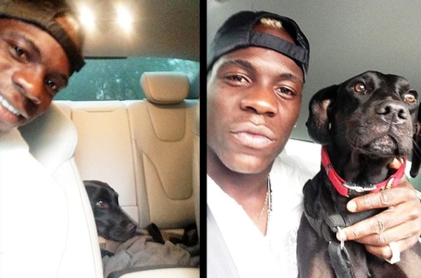 Los espectaculares perros de los futbolistas en el #DíaDelPerro