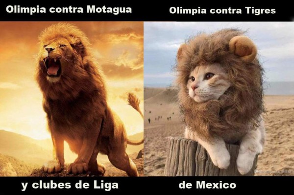 Memes: aficionados motagüenses, protagonistas de las burlas al Olimpia tras la eliminación en Concacaf