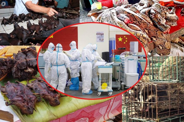 ¡Coronavirus! China prohíbe venta y consumo de carne de animales silvestres en Wuhan