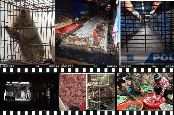 Como película de terror: El laboratorio que dejó escapar el coronavirus ¿cómo arma biológica?