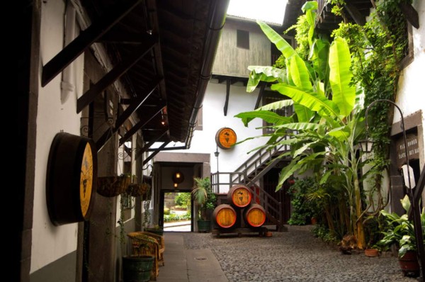 ¡Bellezada! Así el nuevo hogar del hondureño Bryan Róchez en Portugal