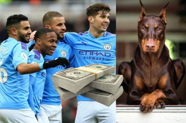 ¡Un dineral! La fortuna que pagó un jugador del Manchester City para que un perro guardían vigile su mansión