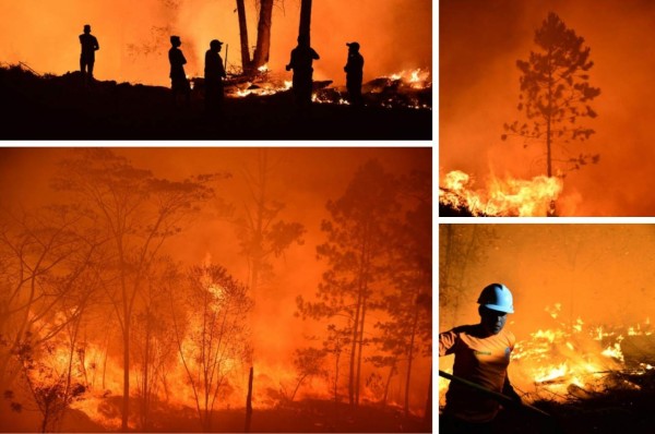 ¡Impactante! Incontrolable incendio destruye decenas de hectáreas de pino en El Hatillo