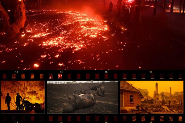 Apocalípticas fotos del brutal incendio en Australia; casi medio millón de animales han muerto