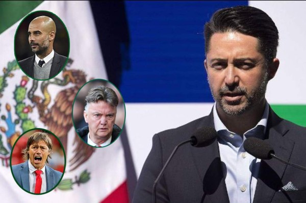 Hay 24 candidatos para dirigir a la Selección de México, según Yon de Luisa