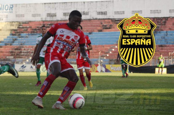 ¡Lujos! Las altas confirmadas de los cuatro grandes de la Liga Nacional