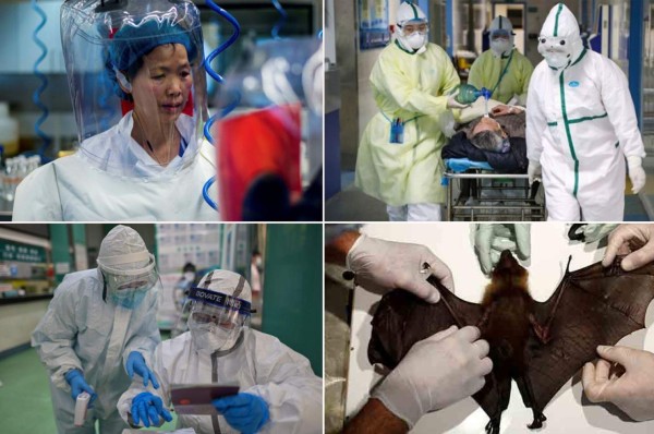 Viróloga china advirtió hace un año del coronavirus, fue silenciada y ahora lanza otra dura advertencia