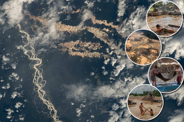 'Ríos de Oro': Las imágenes de la NASA revelan la destrucción de la minería ilegal en la Amazonia
