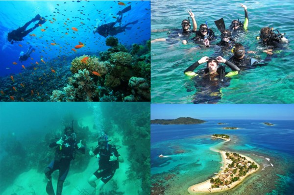 Utila el lugar perfecto para practicar el buceo