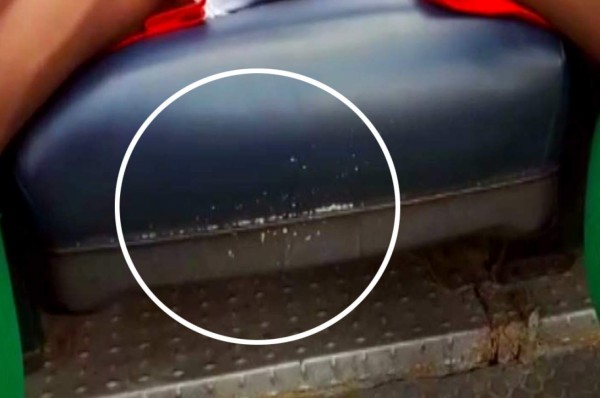 NO VISTE POR TV: ¿Quién celebró con Diego? arrestados y el 'Halcón' aparece con novia