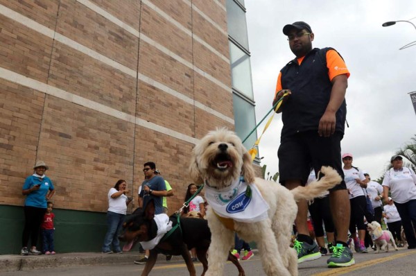 La carrera animalista fue un éxito en Tegucigalpa