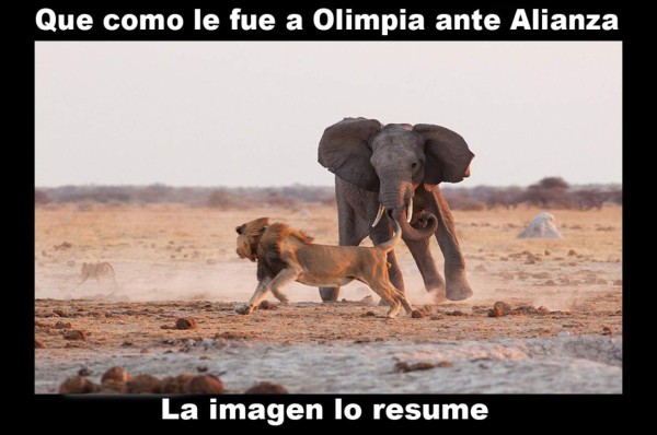 Los memes despedazan al Olimpia tras perder ante Alianza