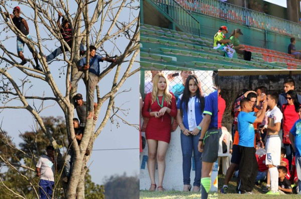 Subidos en los árboles, golpes a árbitros y la soledad del Yankel en la Copa Presidente