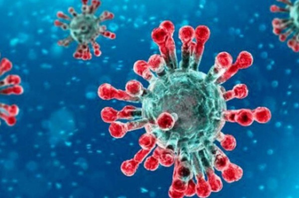 Coronavirus pierde la mitad de sus partículas en menos de dos minutos al estar bajo el sol