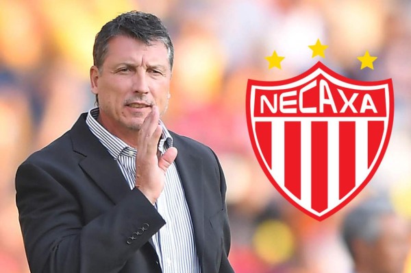 Robert Siboldi será el nuevo técnico del Necaxa a partir del 2019