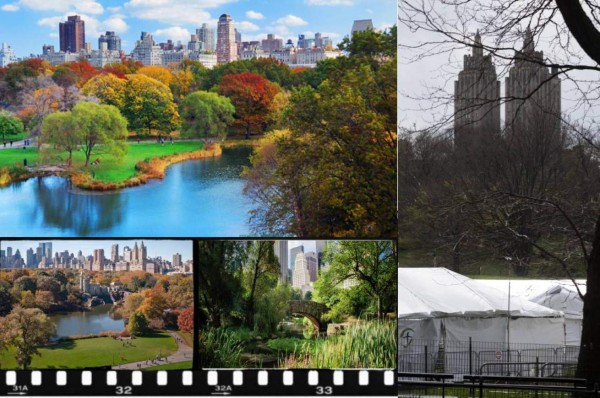 La cuarentena por coronavirus en Nueva York transforma Central Park