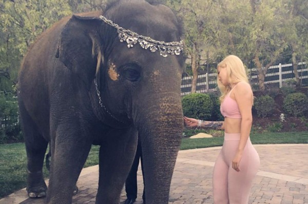Conoce a Iggy Azalea, ex amor del basquetbolista Nick Young