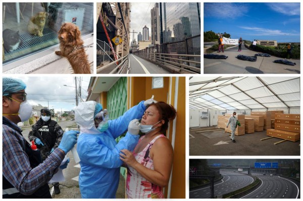 Calles desoladas y animales en las calles: Las postales que deja el coronavirus en el mundo