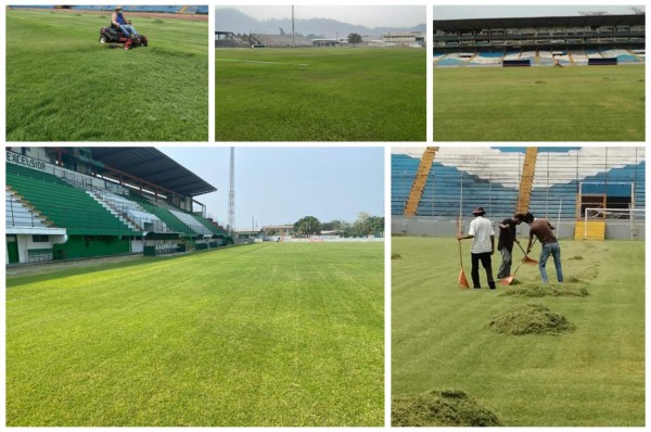 ¡El césped más verde! Así lucen los estadios de Honduras en esta cuarentena