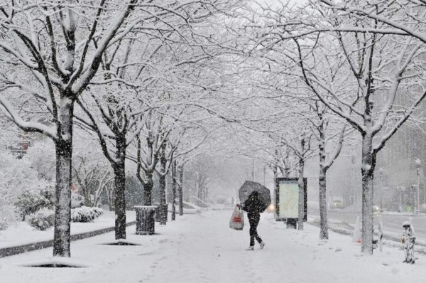 ¡Alerta por la tormenta invernal en el noreste de Estados Unidos!