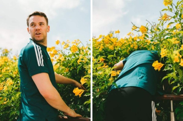 El Bayern Munich enciende las redes sociales por 'minimizar' a Tigres ¿Lindo gatito?